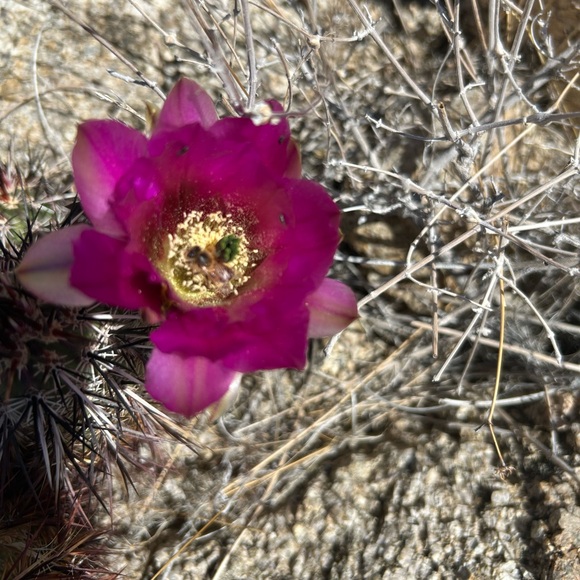 Meet your Posher, Ben - Picture 1 of 1